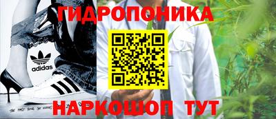ГАЛЛЮЦИНОГЕННЫЕ ГРИБЫ Кулебаки