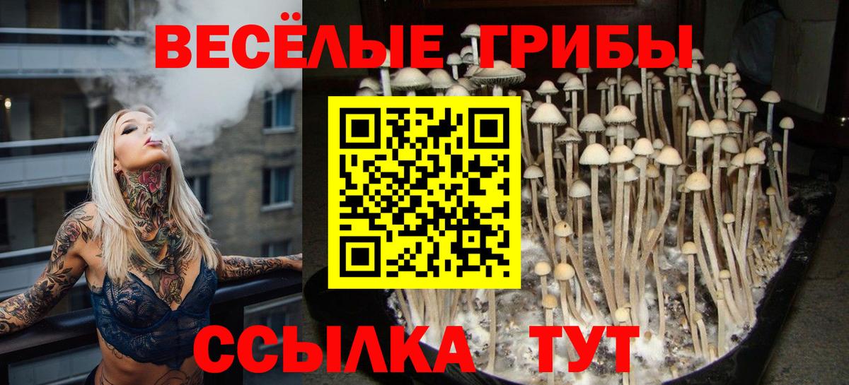 Псилоцибиновые грибы GOLDEN TEACHER  Вход с VPN  Златоуст 
