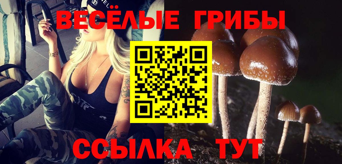 Псилоцибиновые грибы Psilocybe Златоуст